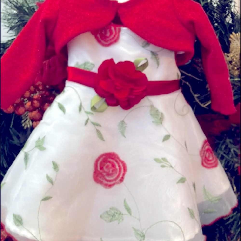 Holiday/ winter formal dress for Newborn